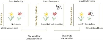 Small-Scale Habitat Conditions Are More Important Than Site Context for Influencing Pollinator Visitation